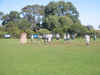 CT_vs_U19_A.JPG (266273 bytes)
